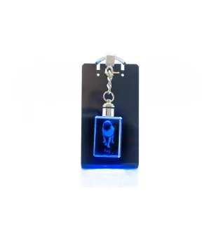 Pug - Crystal key ring with dog photo, illuminated key ring, unique gift by Art-Dog brand