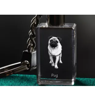 Carlin, Pug, Mops - Porte-clés en cristal avec photo de chien, porte-clés lumineux, cadeau unique de la marque Art-Dog