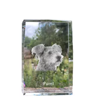 Pumi - Kristall mit einem Hundebild, Bild im Glas, moderne Ausstellung des Art-Dog-Bildes.