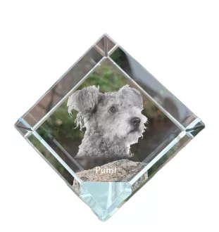 Pumi, Hungarian Pumi, Hungarian herding terrier - crystal cube with a photo, photo of a horse in crystal, cubic paperweight from Art-Dog brand
