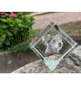 Pumi, Hungarian Pumi, Hungarian herding terrier - crystal cube with a photo, photo of a horse in crystal, cubic paperweight from Art-Dog brand