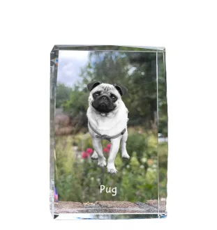 Carlin, Pug, Mops - cristal avec une photo de chien, photo sous verre, exposition moderne de la marque de photos Art-Dog