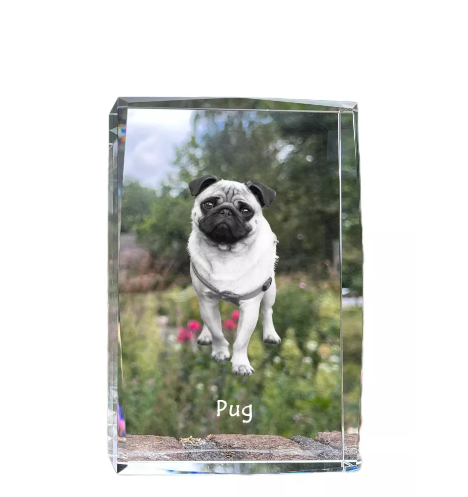Pug - crystal with a picture of a dog, photo in glass, modern exhibition of Art-Dog brand photo