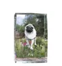 Pug - crystal with a picture of a dog, photo in glass, modern exhibition of Art-Dog brand photo