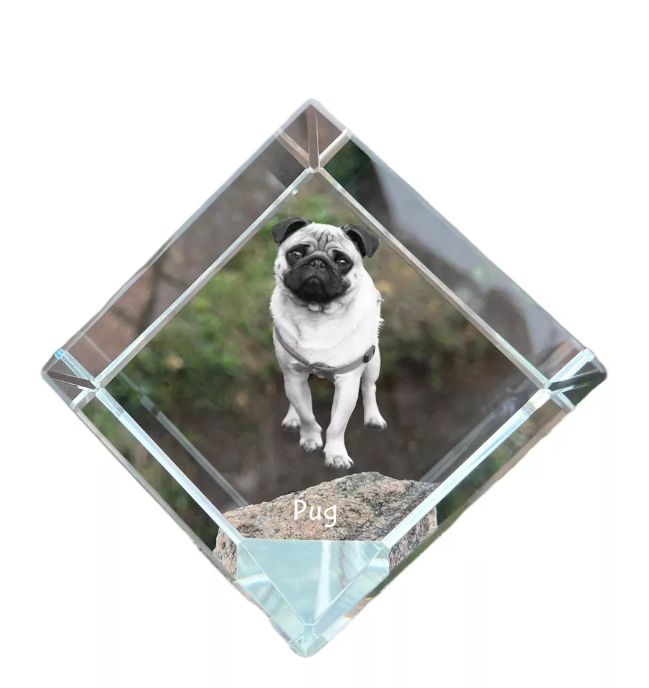 Carlin, Pug, Mops - un cube de cristal avec une photo, une photo de cheval dans le cristal, un presse-papiers cubique de la marque Art-Dog