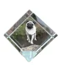 Carlin, Pug, Mops - un cube de cristal avec une photo, une photo de cheval dans le cristal, un presse-papiers cubique de la marque Art-Dog