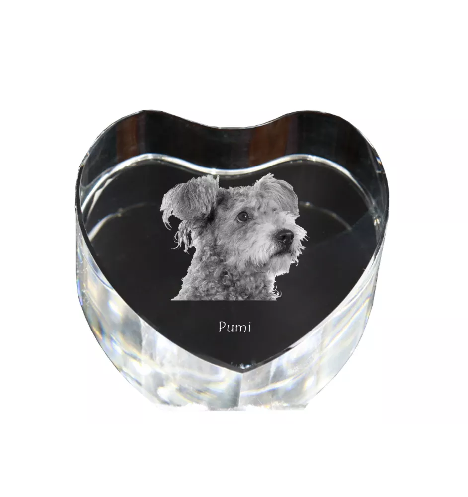 Pumi, Hungarian Pumi, Hungarian herding terrier - a photo of a dog in crystal, crystal heart, unique photo frame from the Art-Dog brand