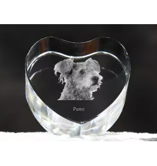 Pumi, Hungarian Pumi, Hungarian herding terrier - a photo of a dog in crystal, crystal heart, unique photo frame from the Art-Dog brand