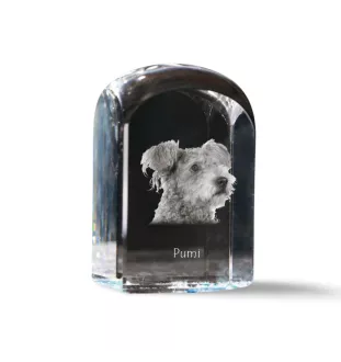 Pumi - un cube de cristal avec une photo, une photo de chien dans le cristal, un presse-papiers cubique de la marque Art-Dog