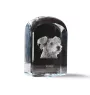 Pumi - un cube de cristal avec une photo, une photo de chien dans le cristal, un presse-papiers cubique de la marque Art-Dog