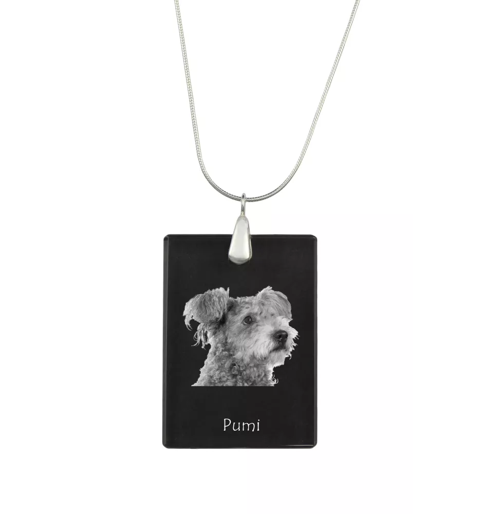 Pumi - Pendentif en cristal avec chien, collier en argent avec photo, pendentif personnalisé par la marque Art-Dog