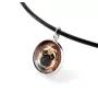 Pug - a set of jewelry in a box, necklace, earrings, bracelet, products from the Art-Dog brand
