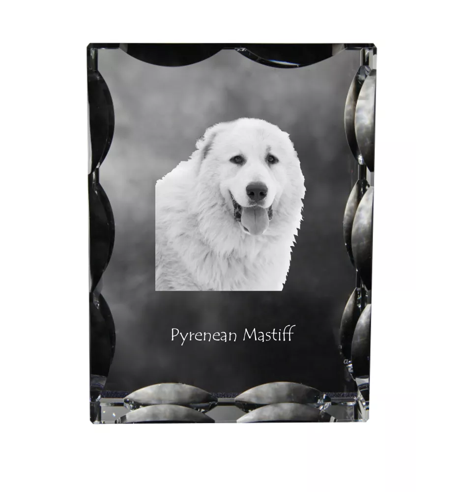 Mâtin des Pyrénées, Mastín del Pirineo - cristal avec photo de chien, statuette en verre avec photo, cadre exceptionnel avec photo de la marque Art-Dog