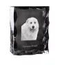 Pyrenean Mastiff, Mastín del Pirineo - crystal with a picture of a dog, glass statuette with a picture, unique frame with a picture from Art-Dog brand