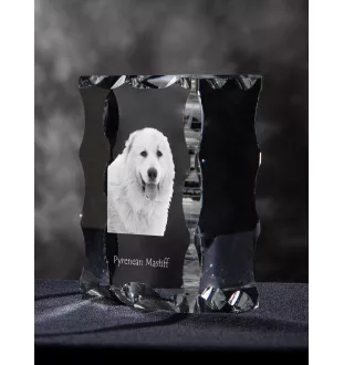 Pyrenean Mastiff, Mastín del Pirineo - crystal with a picture of a dog, glass statuette with a picture, unique frame with a picture from Art-Dog brand
