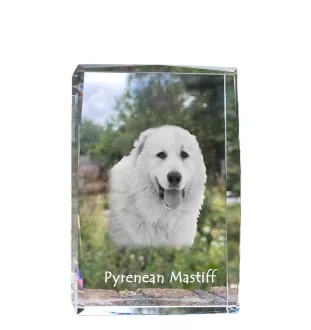 Pyrenean Mastiff, Mastín del Pirineo - crystal with a picture of a dog, photo in glass, modern exhibition of Art-Dog brand photo