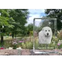 Pyrenean Mastiff, Mastín del Pirineo - crystal with a picture of a dog, photo in glass, modern exhibition of Art-Dog brand photo