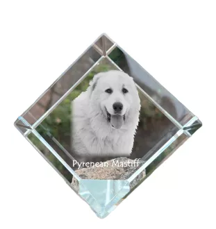 Mâtin des Pyrénées, Mastín del Pirineo - un cube de cristal avec une photo, une photo de cheval dans le cristal, un presse-papiers cubique de la marque Art-Dog
