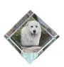 Mâtin des Pyrénées, Mastín del Pirineo - un cube de cristal avec une photo, une photo de cheval dans le cristal, un presse-papiers cubique de la marque Art-Dog