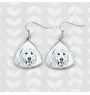 Pyrenean Mastiff, Mastín del Pirineo - dog earrings, hanging earrings with a picture, personalized jewelry with Art-Dog brand print