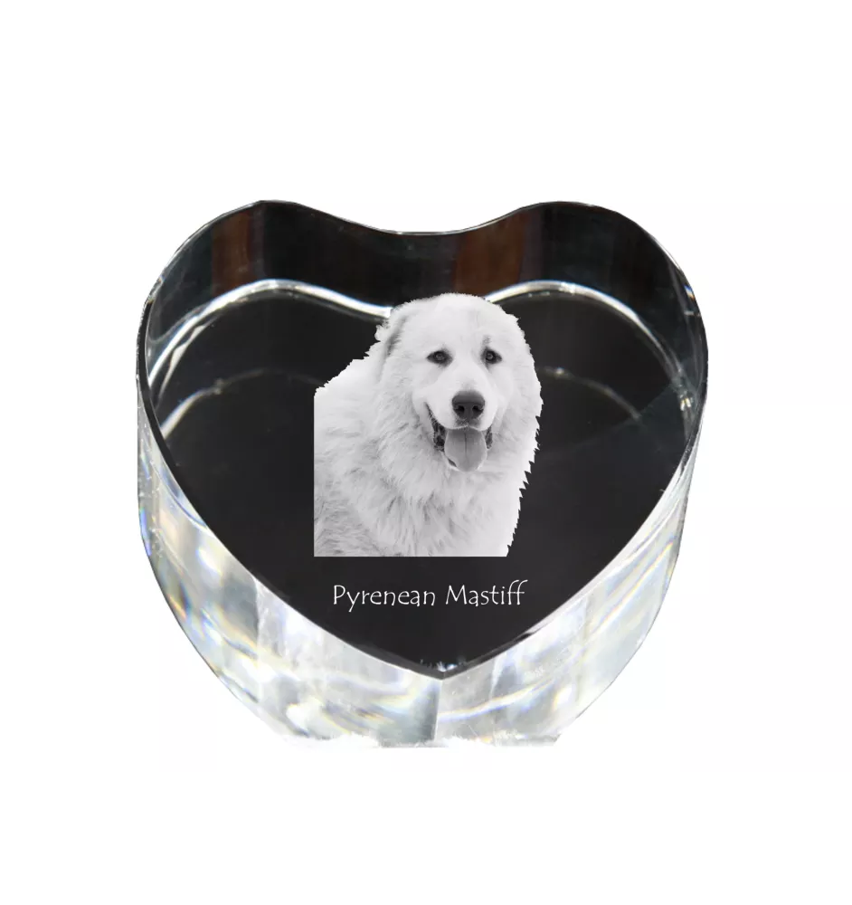 Pyrenean Mastiff, Mastín del Pirineo - a photo of a dog in crystal, crystal heart, unique photo frame from the Art-Dog brand