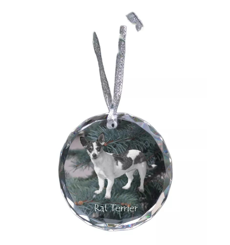 Rat Terrier, Ratting Terrier, Decker Giant - crystal bauble with a photo, dog photo in crystal, personalized Christmas tree ornament by Art-Dog brand