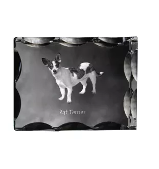 Rat Terrier, Ratting Terrier, Decker Giant - crystal with a picture of a dog, glass statuette with a picture, unique frame with a picture from Art-Dog brand
