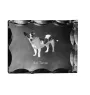 Rat Terrier, Ratting Terrier, Decker Giant - crystal with a picture of a dog, glass statuette with a picture, unique frame with a picture from Art-Dog brand