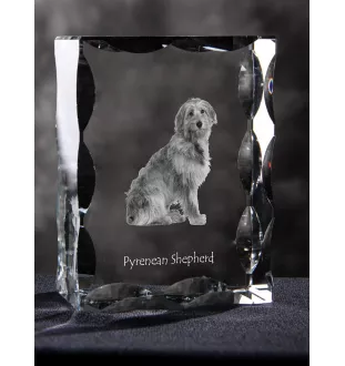 Pyrenean Sheepdog, Labri, Pyrenees Sheepdog - crystal with a picture of a dog, glass statuette with a picture, unique frame with a picture from Art-Dog brand