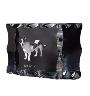 Rat Terrier ramka kryształowa z psem Art-Dog