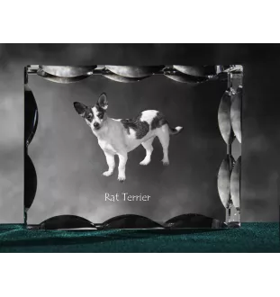 Rat Terrier, Ratting Terrier, Decker Giant - crystal with a picture of a dog, glass statuette with a picture, unique frame with a picture from Art-Dog brand