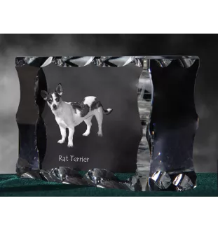 Rat Terrier - Kristall mit einem Hundebild, Glasstatuette mit einem Bild, einzigartiger Bilderrahmen der Marke Art-Dog