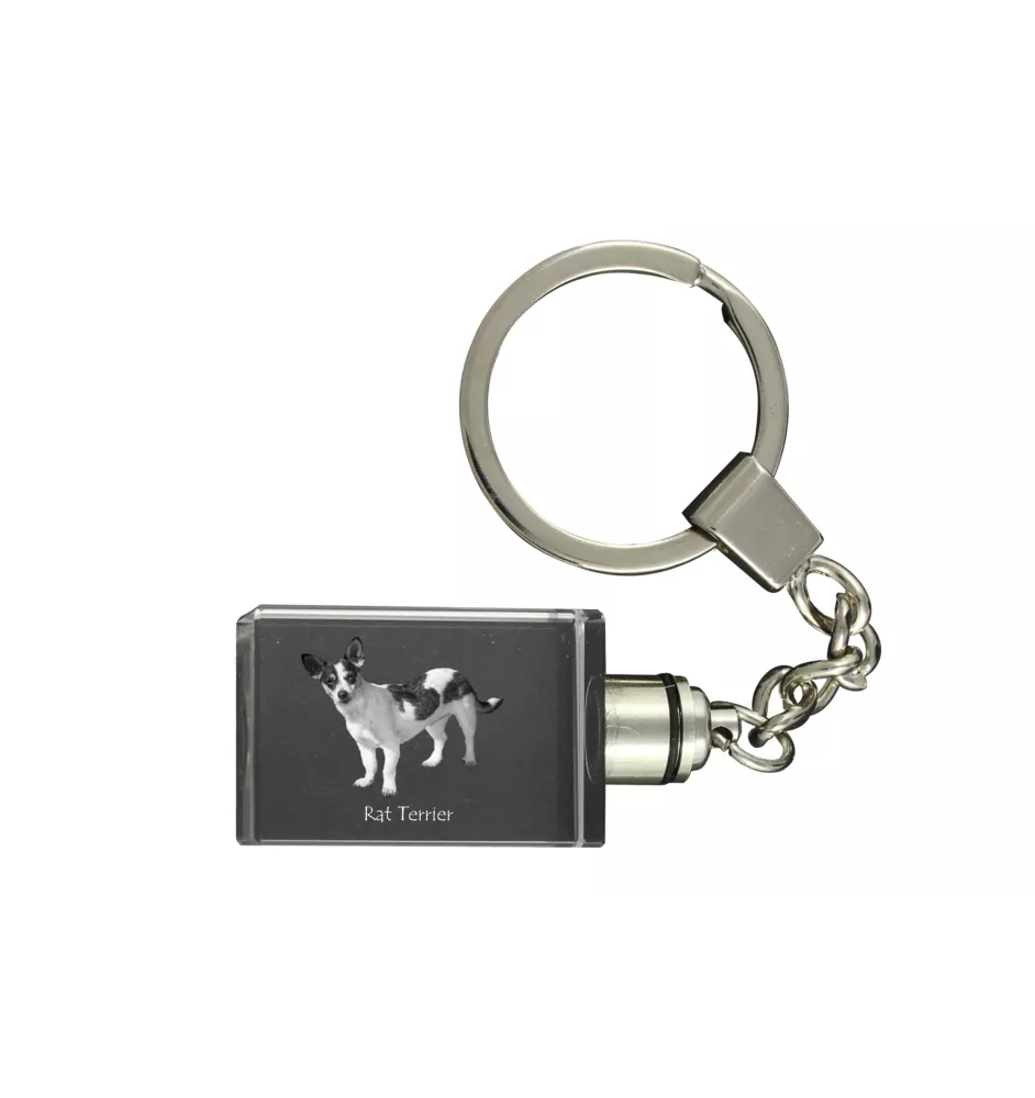 Rat Terrier - Porte-clés en cristal avec photo de chien, porte-clés lumineux, cadeau unique de la marque Art-Dog