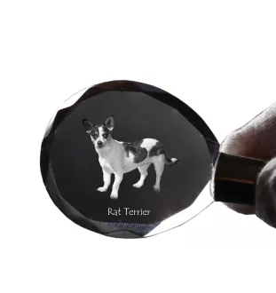 Rat Terrier - pendentif avec une photo de chien, porte-clés en cristal dans une boîte cadeau, un cadeau unique par Art-Dog