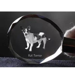 Rat Terrier, Ratting Terrier, Decker Giant - pendant with a photo of a dog, crystal key ring in a gift box, a unique gift by Art-Dog