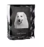 Pyrenean Mountain Dog, Great Pyrenees, Pyrenean Shepherd - crystal with a picture of a dog, glass statuette with a picture, unique frame with a picture from Art-Dog brand