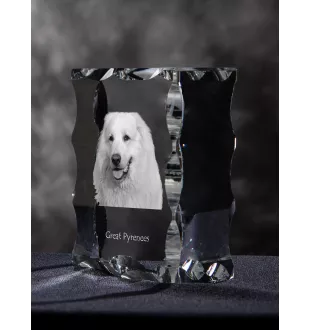Pyrenean Mountain Dog, Great Pyrenees, Pyrenean Shepherd - crystal with a picture of a dog, glass statuette with a picture, unique frame with a picture from Art-Dog brand