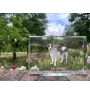 Rat Terrier, Ratting Terrier, Decker Giant - crystal with a picture of a dog, photo in glass, modern exhibition of Art-Dog brand photo