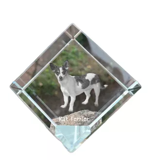 Rat Terrier - un cube de cristal avec une photo, une photo de cheval dans le cristal, un presse-papiers cubique de la marque Art-Dog