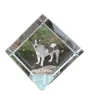 Rat Terrier - un cube de cristal avec une photo, une photo de cheval dans le cristal, un presse-papiers cubique de la marque Art-Dog