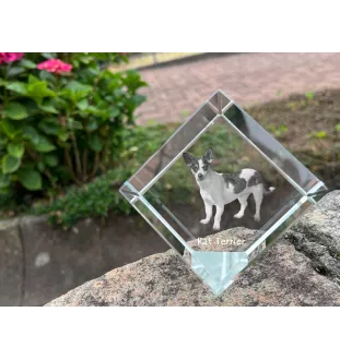 Rat Terrier kostka kryształowa z psem Art-Dog