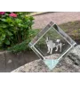 Rat Terrier - un cube de cristal avec une photo, une photo de cheval dans le cristal, un presse-papiers cubique de la marque Art-Dog