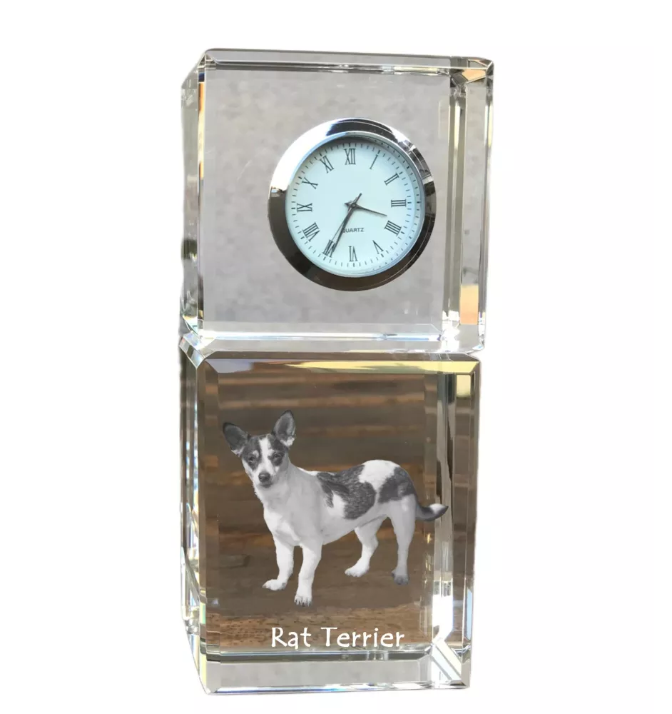 Rat Terrier - montre en cristal avec photo, photo de chien dans un cristal, horloge de bureau personnalisée de la marque Art-Dog