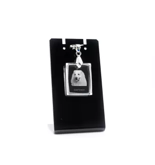 Pyrenäenberghund, Patou - Kristallanhänger für Hunde, Foto-Halskette, einzigartiger Schmuck von Art-Dog