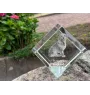 Pyrenean Sheepdog, Labri, Pyrenees Sheepdog - crystal cube with a photo, photo of a horse in crystal, cubic paperweight from Art-Dog brand