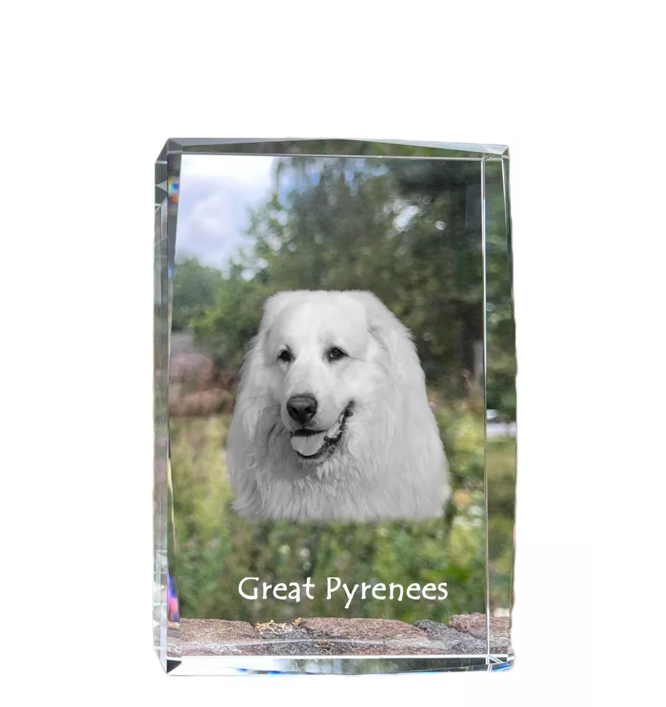 Pyrenäenberghund, Patou - Kristall mit einem Hundebild, Bild im Glas, moderne Ausstellung des Art-Dog-Bildes.