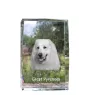 Chien de montagne des Pyrénées, Pastou, Patou - cristal avec une photo de chien, photo sous verre, exposition moderne de la marque de photos Art-Dog