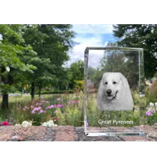 Pyrenean Mountain Dog, Great Pyrenees, Pyrenean Shepherd - crystal with a picture of a dog, photo in glass, modern exhibition of Art-Dog brand photo