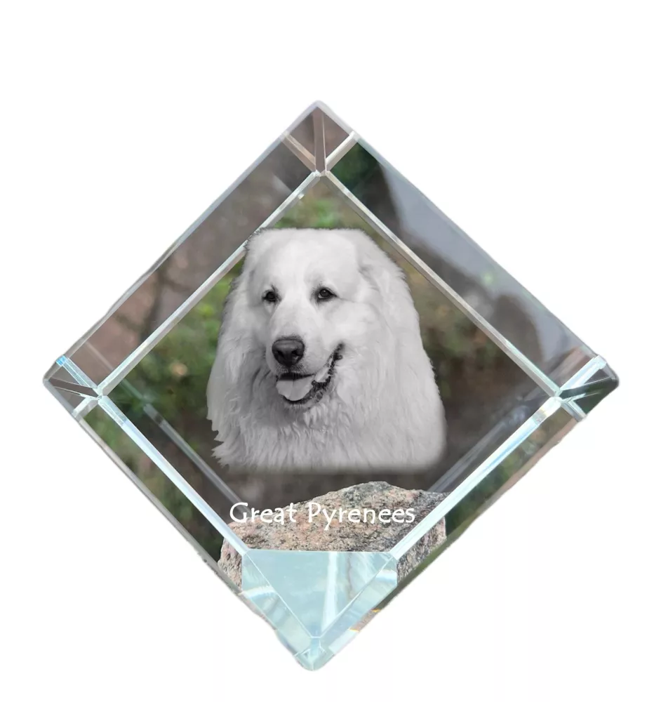 Pyrenäenberghund, Patou - Kristallwürfel mit Bild, Pferdebild im Kristall, sechseckiger Papierclip der Marke Art-Dog