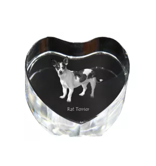 Rat Terrier - une photo de chien dans un cristal, un cœur en cristal, un cadre photo exceptionnel de la marque Art-Dog
